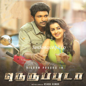 NeruppuDa