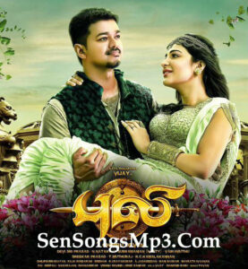 Puli