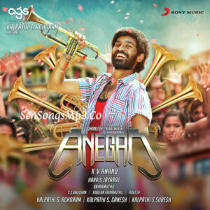 Anegan
